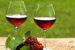 Un compos&eacute; du vin rouge contre Alzheimer