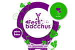 Festi'Bacchus 2012 : Paris accueille le salon des vins de France