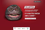 Testez votre risque d'&ecirc;tre porteur de chlamydia