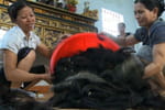 Vietnam : le commerce du cheveu fait flor&egrave;s
