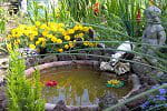 Bassin : faites le plein d'id&eacute;es pour installer un magnifique bassin dans votre jardin
