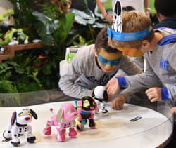 barbie kidexpo 220