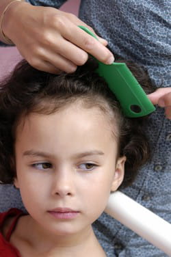 le peigne fin est indispensable pour retirer les lentes après un traitement anti