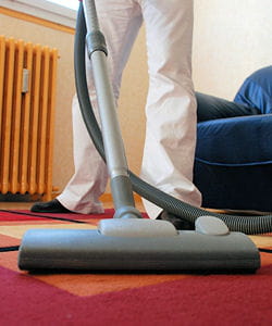 l'aspirateur stocke les bactéries et les insectes tapis dans les fibres de