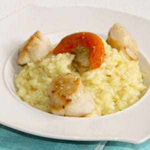 risotto aux noix de st jacques