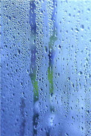 un logement humide favorise les maladies respiratoires.