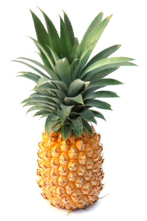 un ananas qui chante... ?
