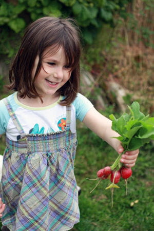 cueillir ses légumes, cela met en appétit !