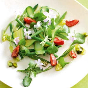 salade de courgette, haricot et cerise, sauce pistache 