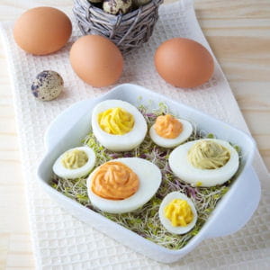 oeufs mimosa au thon 