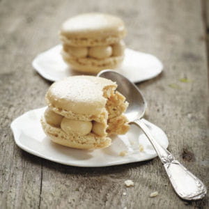 macarons aux spéculoos 