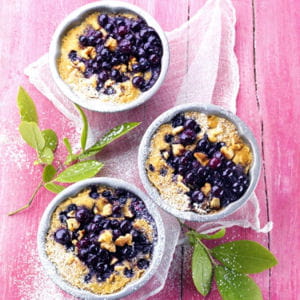 clafoutis aux myrtilles sauvages du canada