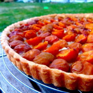 la classique tarte aux mirabelles