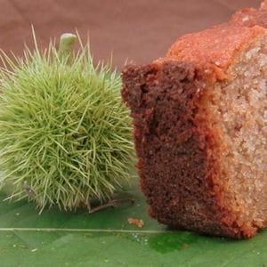 cake à la farine de châtaignes