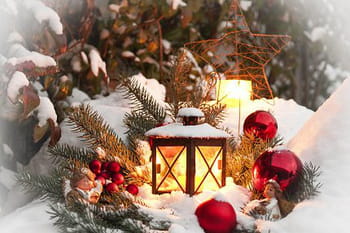 Le calendrier du jardinier du mois de d&eacute;cembre