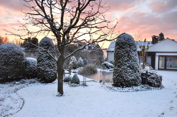 Le calendrier du jardinier du mois de janvier