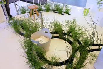 Les tendances salle de bains 2012