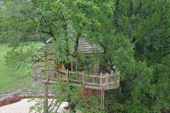 Les Cabanes perch&eacute;es dans les arbres