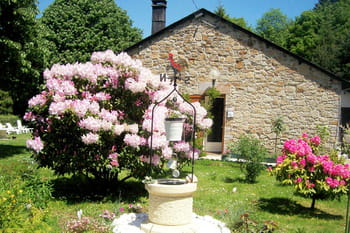 Vos plus beaux jardins en &eacute;t&eacute;