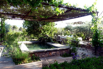 Le charme discret des pergolas