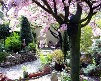 Vos jardins dans le Sud