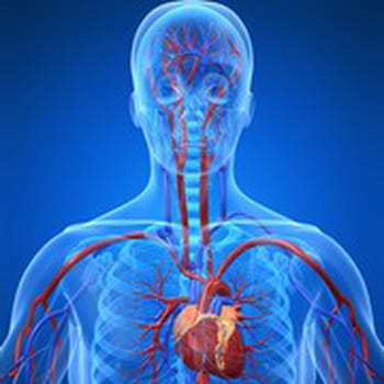 calculer la période d ovulation