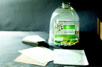 Yves Rocher : l'histoire de la marque