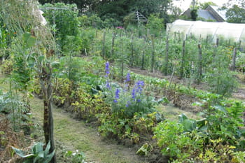 Potager : trois exemples de jardins r&eacute;ussis