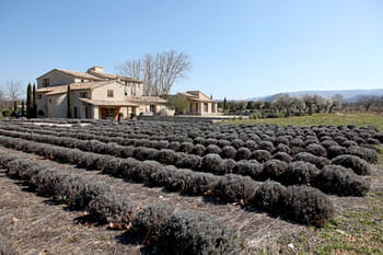 Une bastide habill&eacute;e de pierres en Luberon