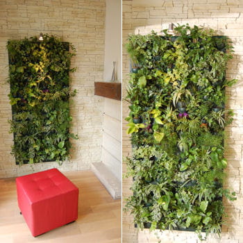 le flowall est un mur végétal qui offre des qualités esthétiques et