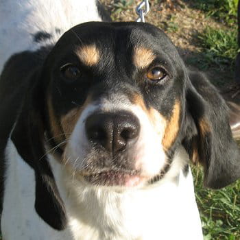 vera, 5 ans, languedoc-roussillon (lattes)