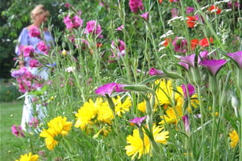 Balade po&eacute;tique dans le jardin de Nadine