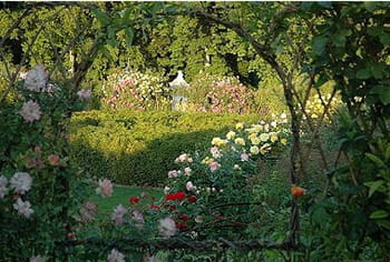 les 12 jardins du château de la chatonnière