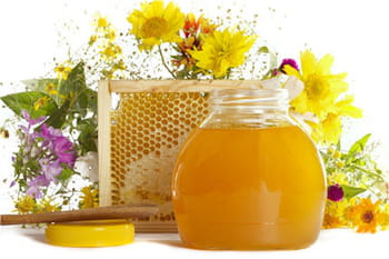 Propolis : plus fort que le miel ?