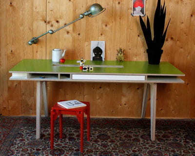 bureau insekt de fairsens 