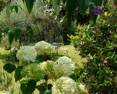 le jardin d'agnès