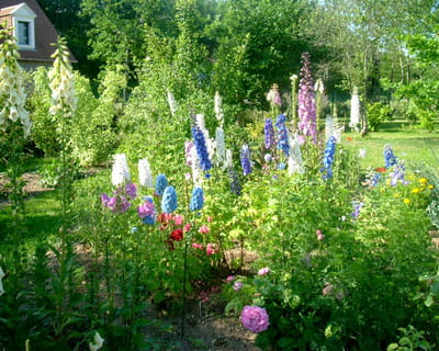 le jardin de gwen