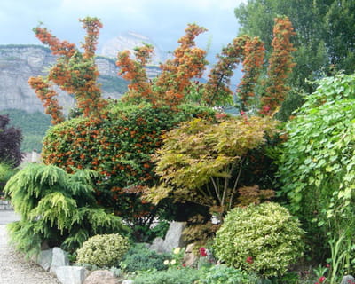 le jardin de jean-claude