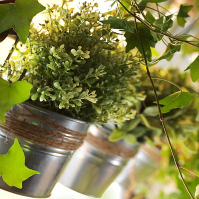 créer une décoration naturelle