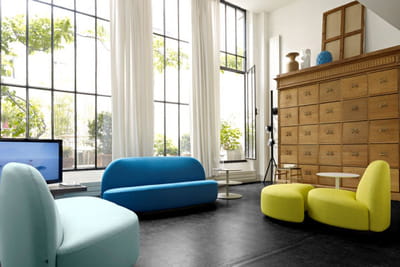 canapé elysée de ligne roset  