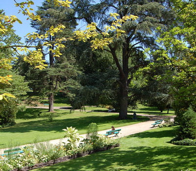 le jardin des plantes d'angers