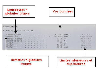 résultats d'analyse pour les leucocytes et les hématies.