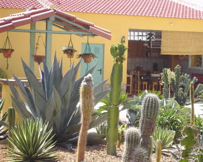 le jardin de diana 