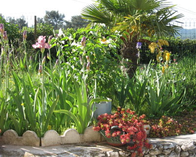 le jardin de line