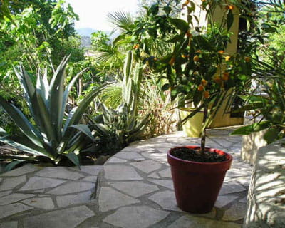 le jardin de claude 