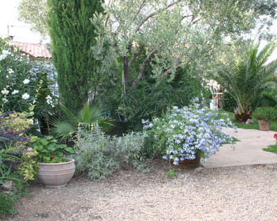 le jardin de jean-louis 