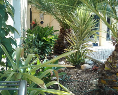le jardin de louyse-ludivine 