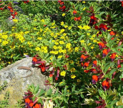 jardin botanique du château fort de lourdes