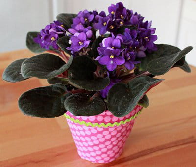 suivez notre pas à pas pour customiser vos pots de fleurs façon color block !
