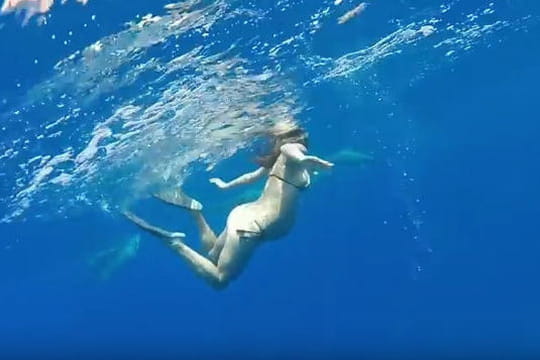 Rencontre avec les dauphins marineland avis